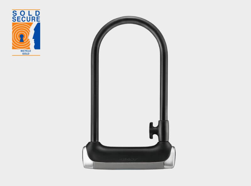 Giant Surelock Protector 1